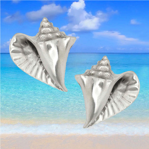 Conch Shell Cabinet Knob Collection