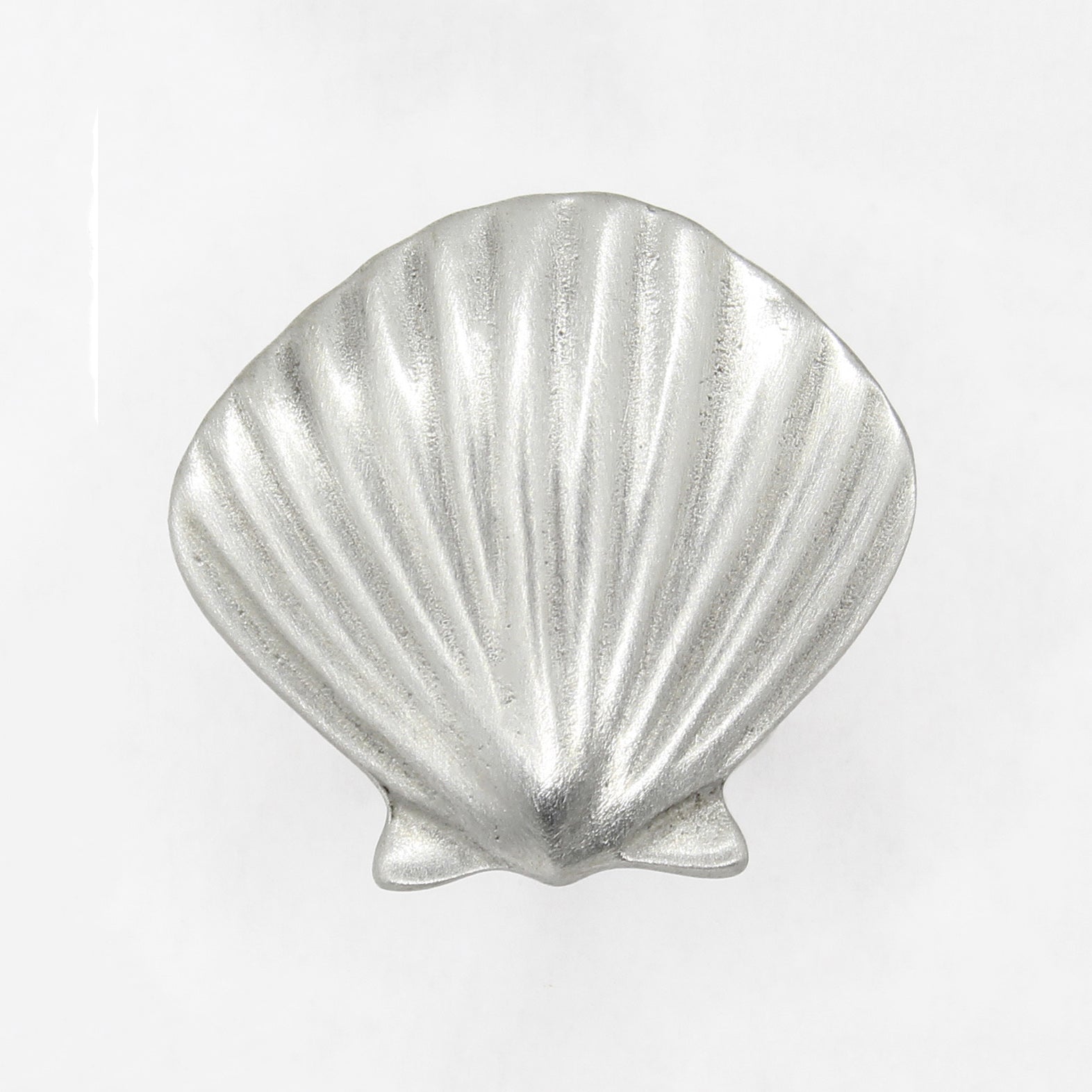 SEASHELL COLLECTION Image 3