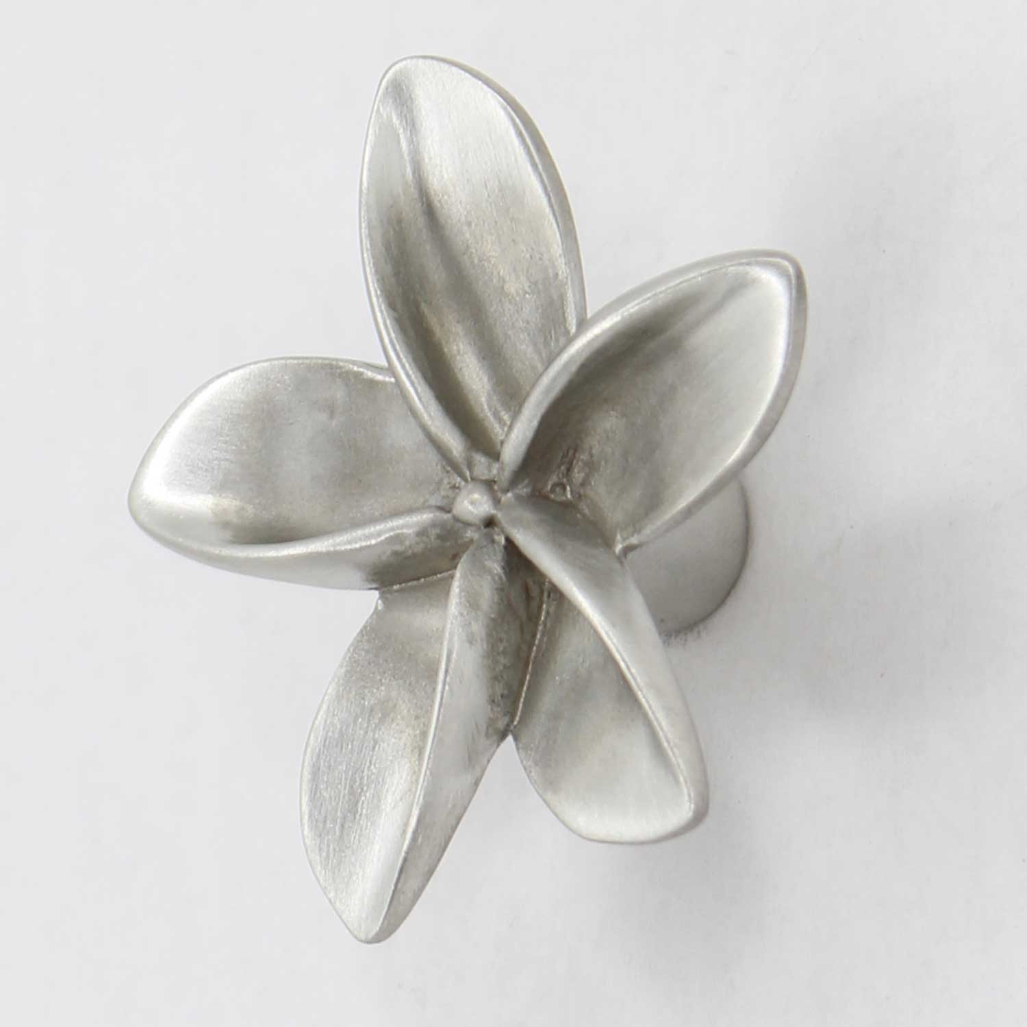 Small Plumeria, angled