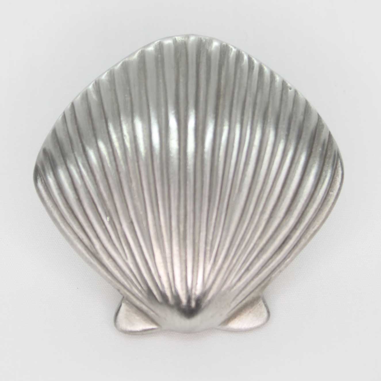 Medium Scallop Seashell Knob