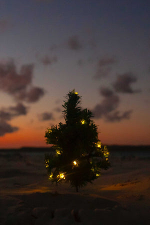 Small Christmas tree planted on sandy beach