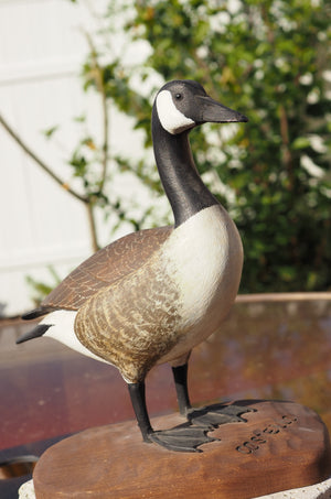 BlogBits™: Canadian Goose
