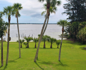 Banana River coastal back yard