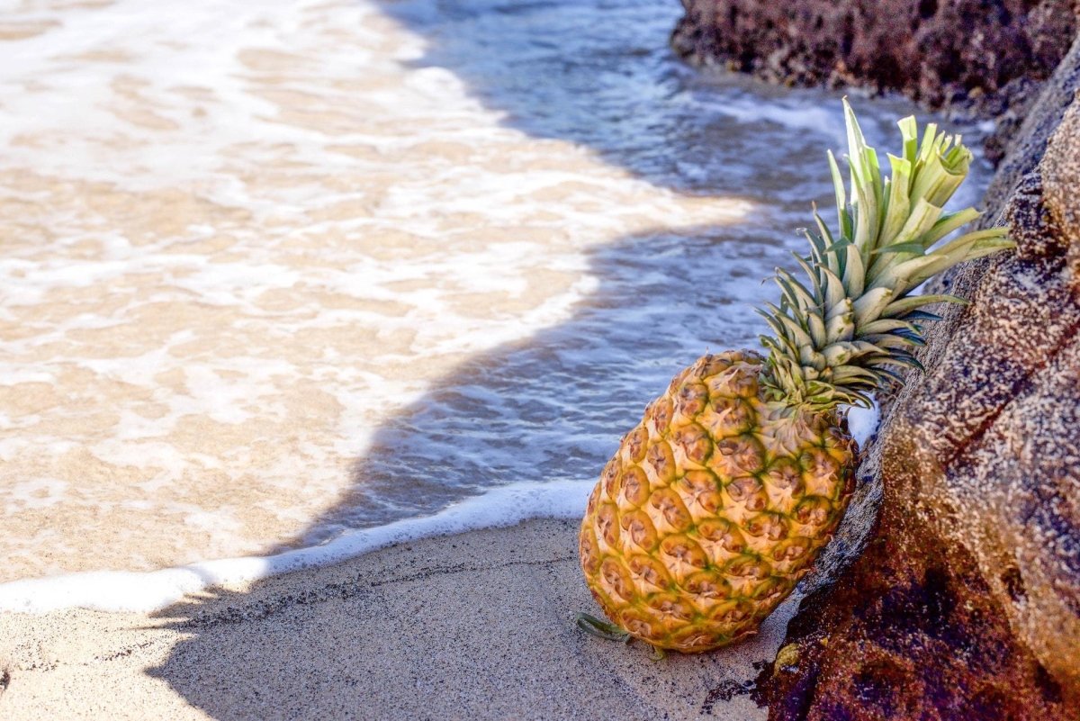 Coastal Decorating with Pineapple Cabinet Knobs and Pulls | Sea Life Cabinet Knobs