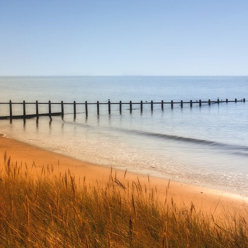 Photo by Anthony : ): https://www.pexels.com/photo/green-grass-near-shoreline-beside-sea-under-blue-sky-132339/