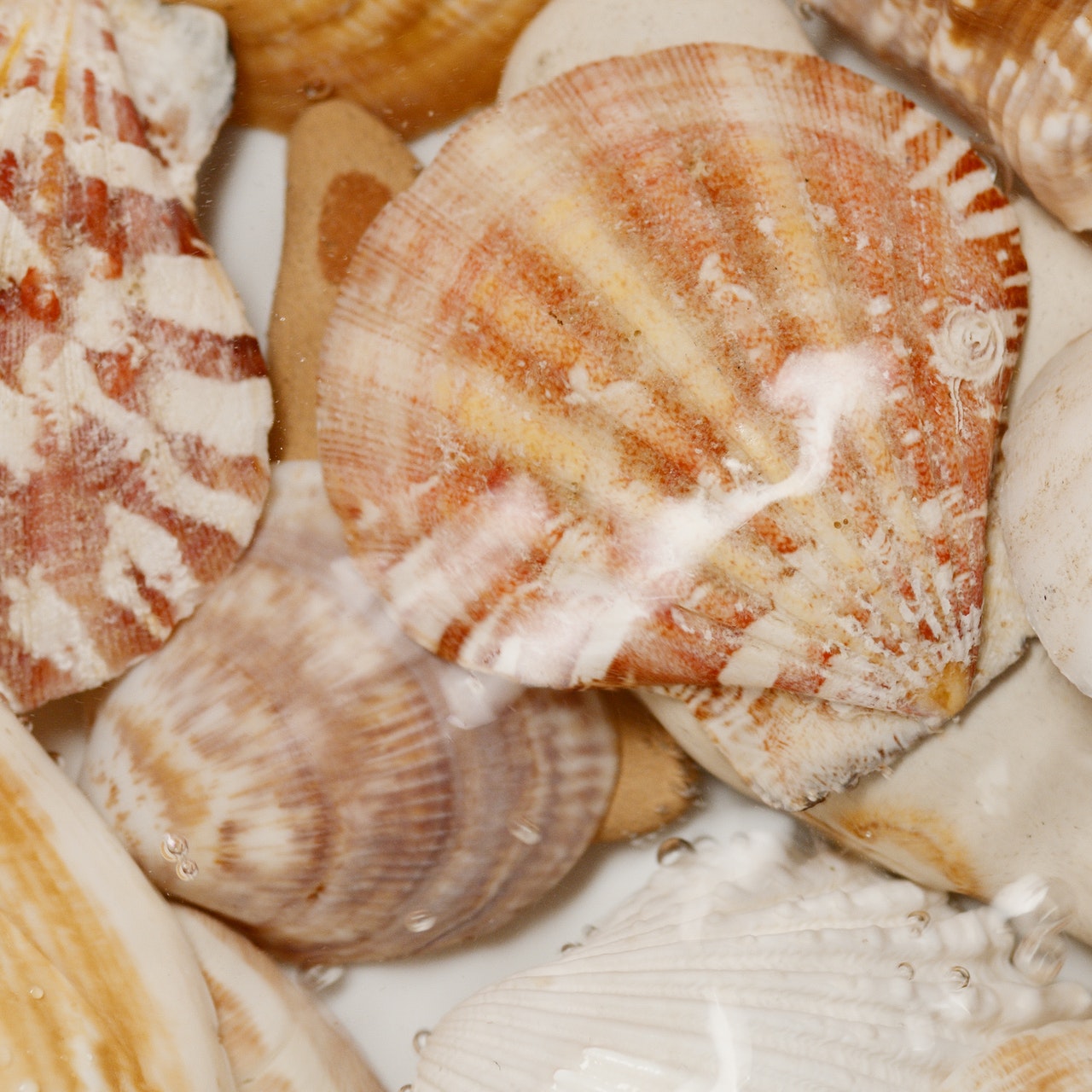 Photo by Artem Podrez from Pexels