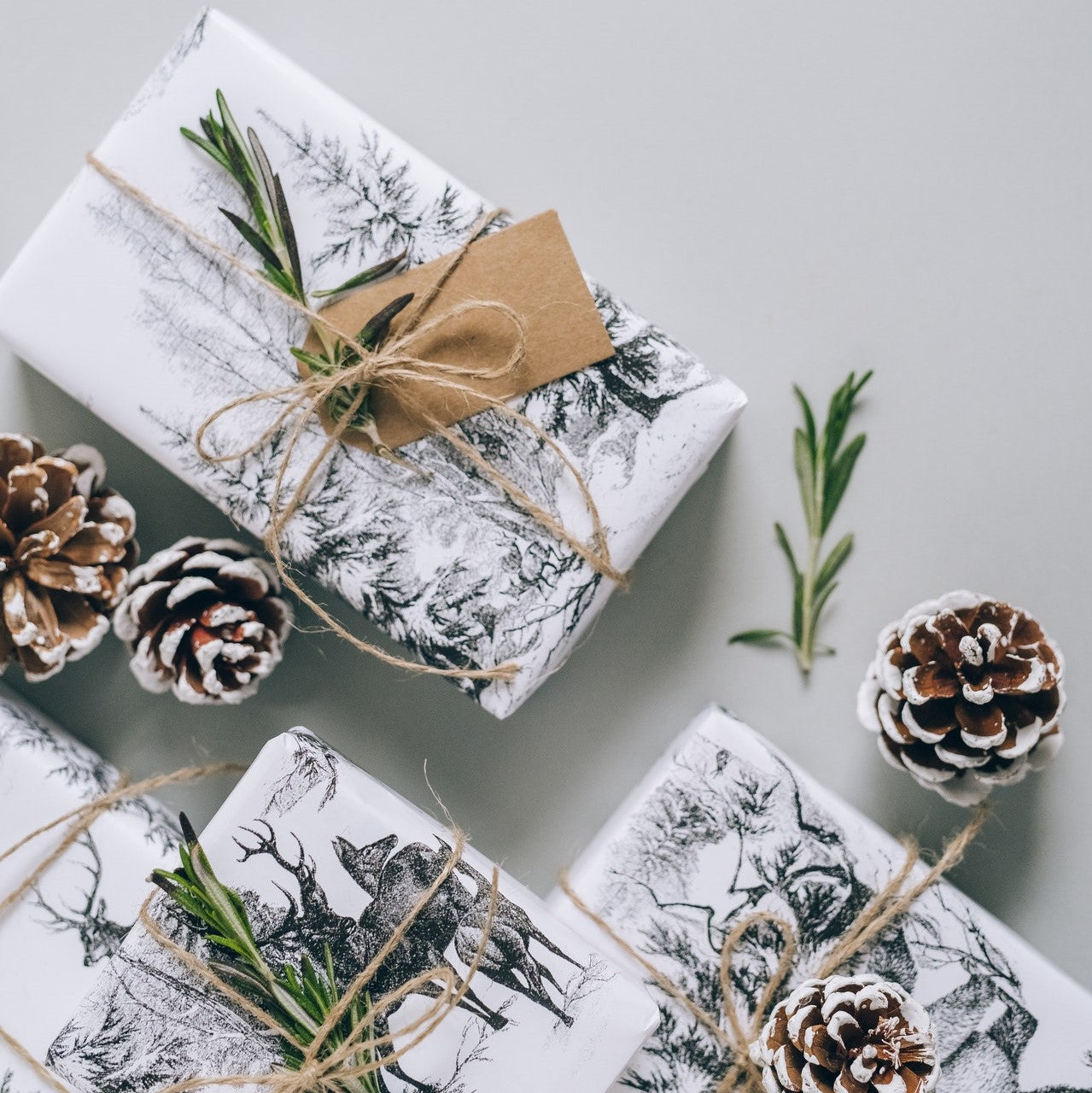 Photo by Olya Kobruseva from Pexels