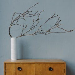 Photo by Ron Lach : https://www.pexels.com/photo/white-vase-with-twigs-on-wooden-table-8400604/