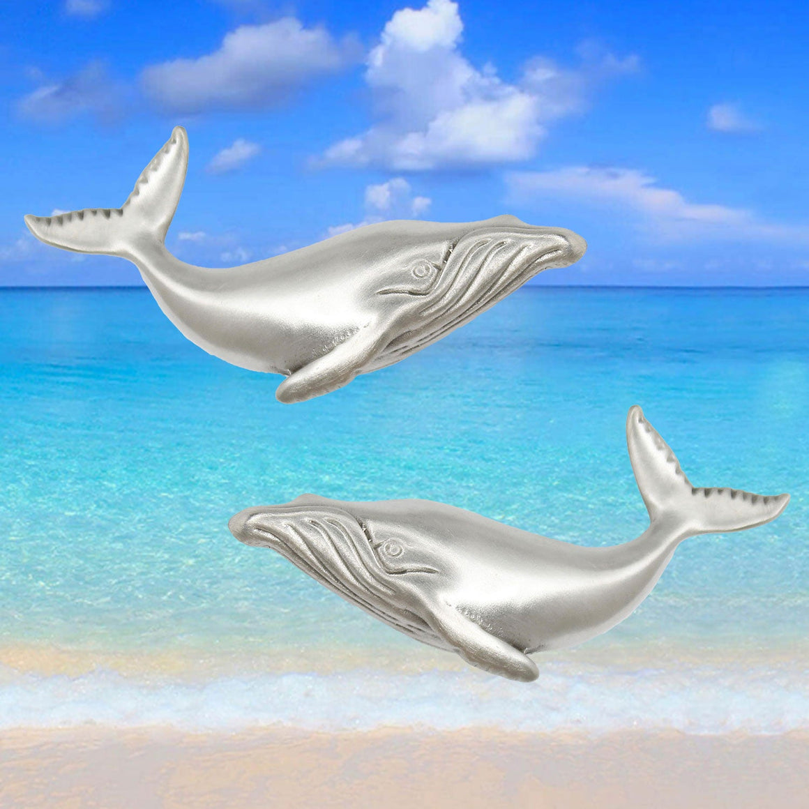 Humpback whale knobs