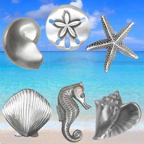Sea Shell Cabinet Knobs and Pulls