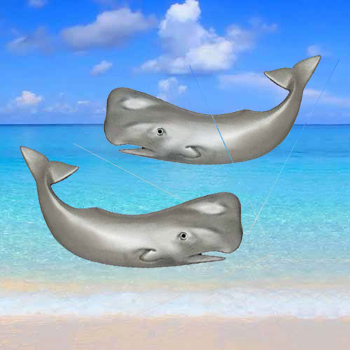 Sperm Whale Coastal Cabinet Knob Collection | Sea Life Cabinet Knobs