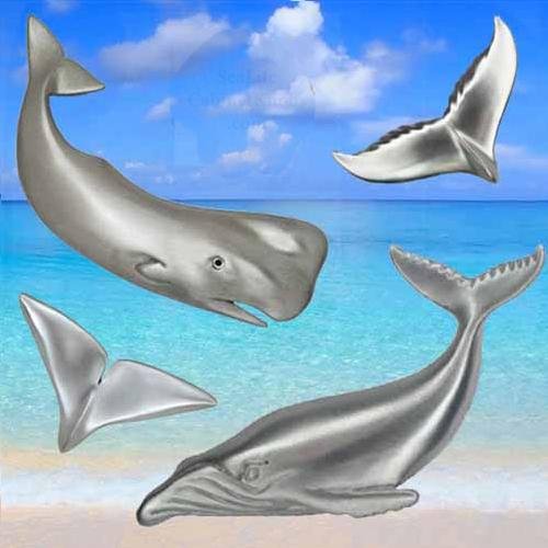 Whale and Whale-Tail Cabinet Hardware | Sea Life Cabinet Knobs
