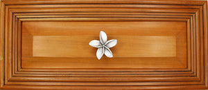 Small Plumeria on drawer