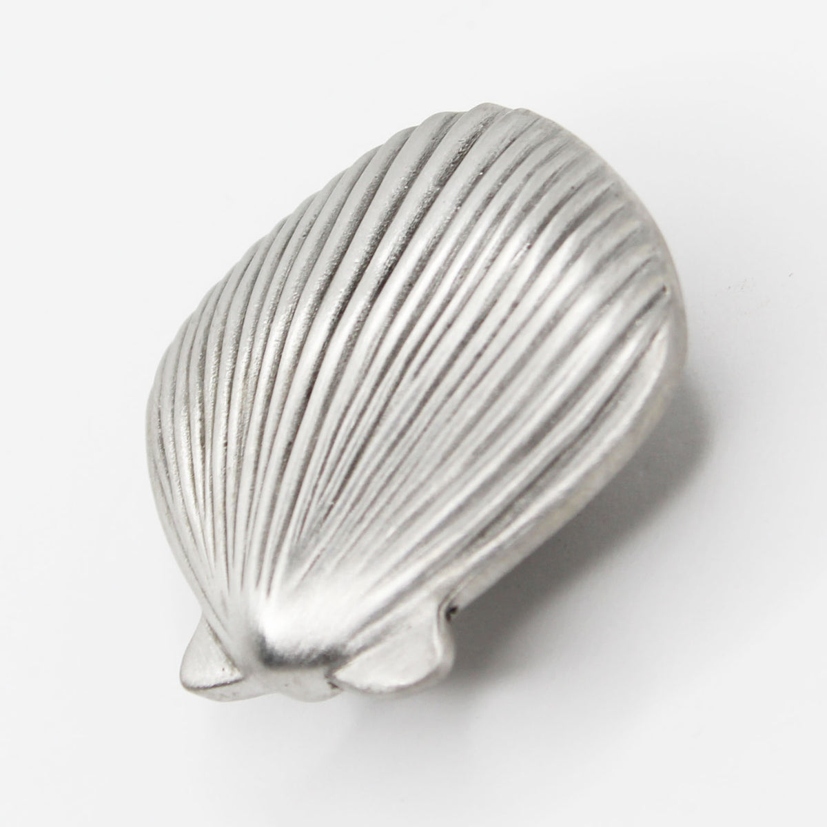 Sea Shell Cabinet Knobs and Pulls