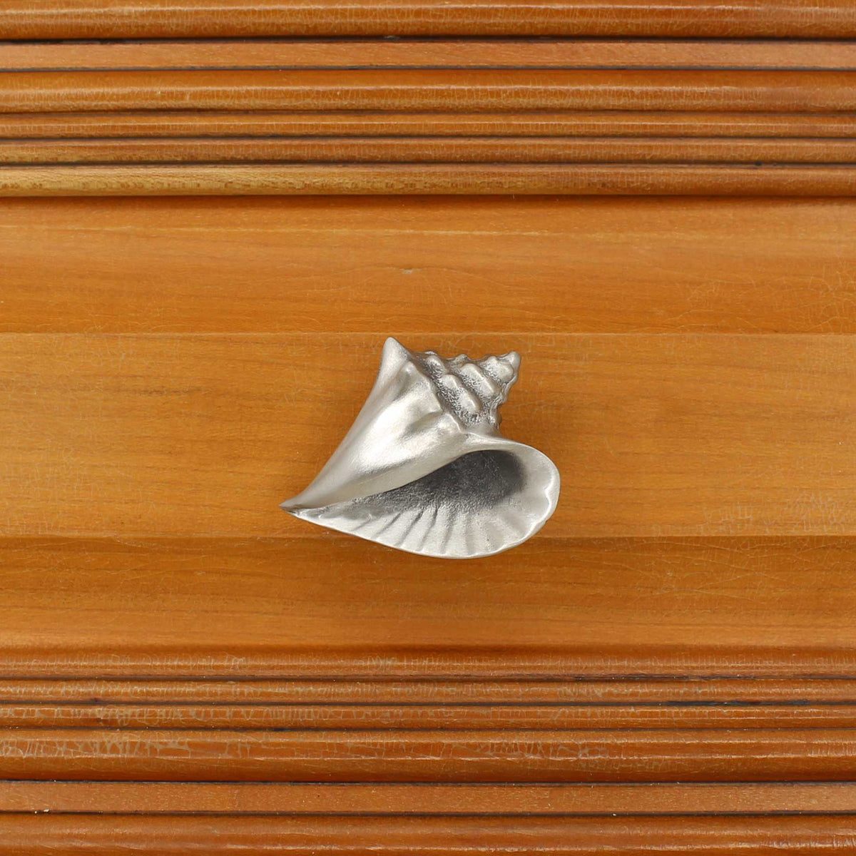Conch Cabinet Knobs, Small, Right Flange - Costello Coastal Knobs
