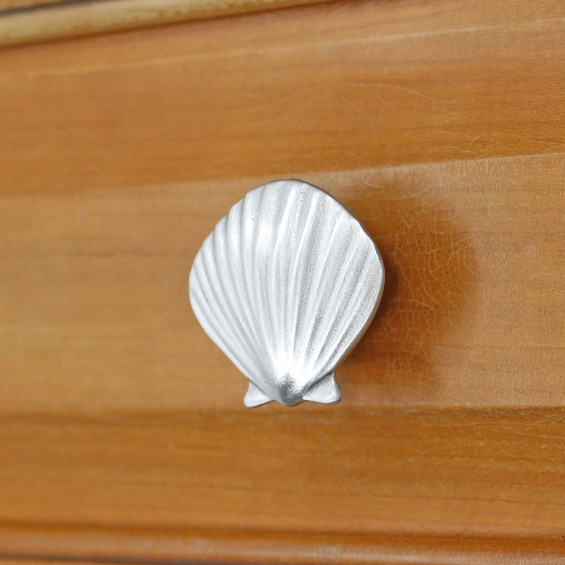 Seashell Knob, Small - Costello Coastal Knobs